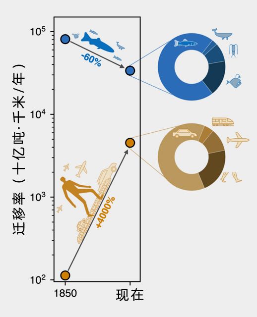 这些数字揭示了人类对自然的惊人影响！(图2)