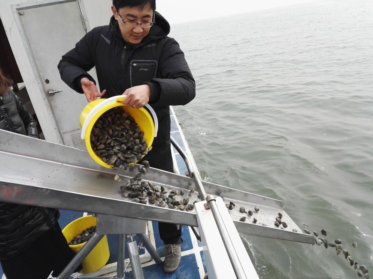 新闻纵深｜祥云湾嬗变：从“海底荒漠”到“水下森林”(图2)