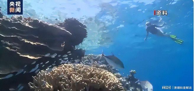 海水温暖得像“洗澡水”！佛罗里达“防波堤”崩塌飓风灾难升级(图5)