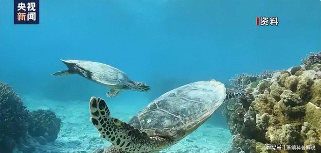 海水温暖得像“洗澡水”！佛罗里达“防波堤”崩塌飓风灾难升级(图4)