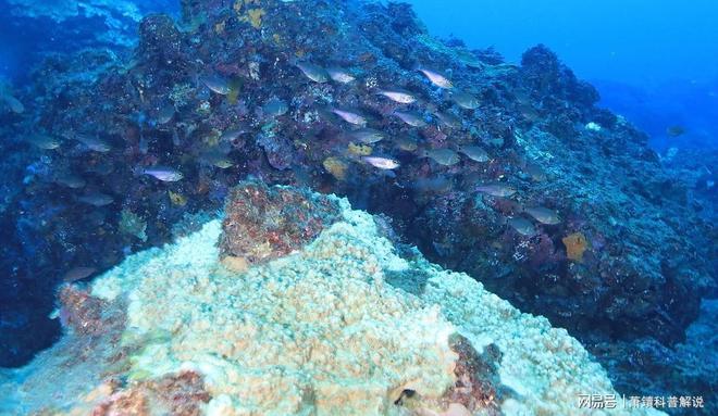 海水温暖得像“洗澡水”！佛罗里达“防波堤”崩塌飓风灾难升级(图11)