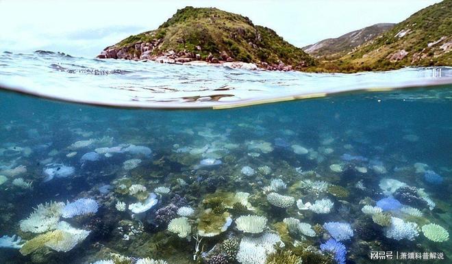 海水温暖得像“洗澡水”！佛罗里达“防波堤”崩塌飓风灾难升级(图13)