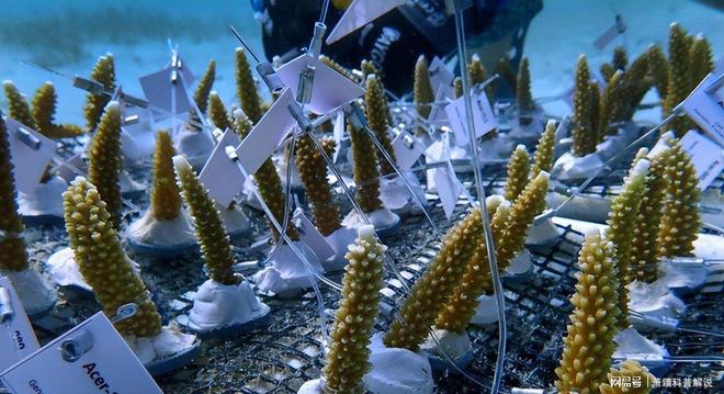 海水温暖得像“洗澡水”！佛罗里达“防波堤”崩塌飓风灾难升级(图17)