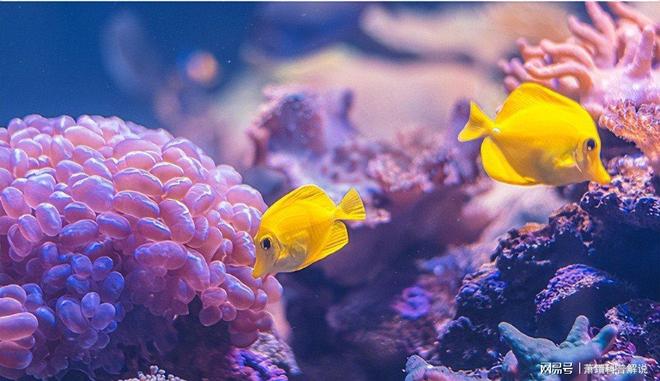 海水温暖得像“洗澡水”！佛罗里达“防波堤”崩塌飓风灾难升级(图14)