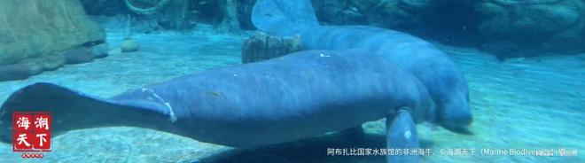 全球生物多样性信息平台（GBIF）第32届理事会会议在哥伦比亚落幕(图3)