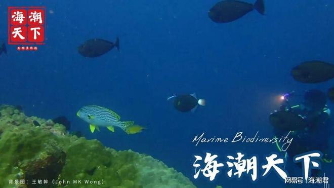 29%海洋保护区在稳定区？这份全球海洋“安全地图”藏着关键答案(图7)