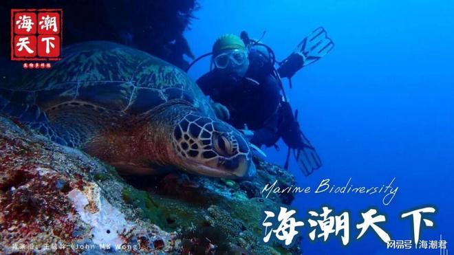 29%海洋保护区在稳定区？这份全球海洋“安全地图”藏着关键答案(图8)