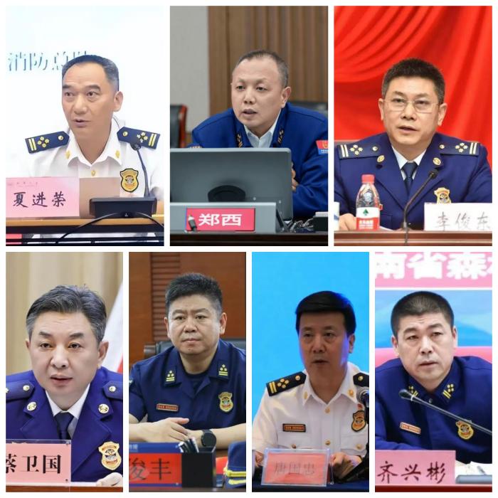 7名总队长被查！消防领域重拳反腐(图2)