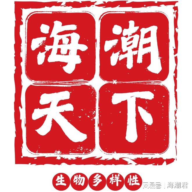 处理搁浅的儒艮孤儿的方法CMS技术报告来了！海潮天下·小百科(图5)