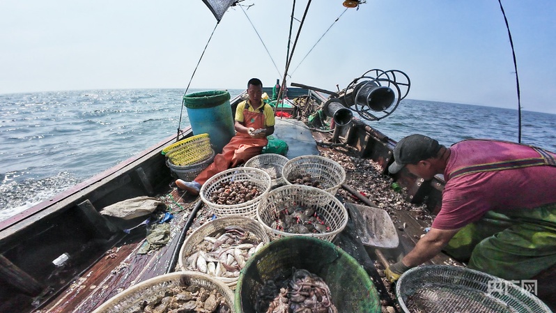 行進的海岸線｜陸海統籌 看中國經濟向海圖強的價值共生(图6)