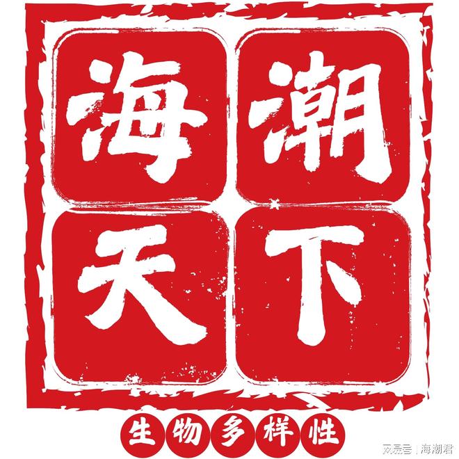 爱尔兰海洋保护区网络扩展的立法进程 海潮天下·昆蒙框架前沿(图4)