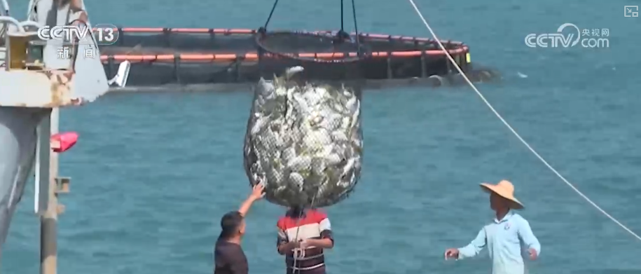 海洋场景开放从“点”到“面”多点开花 海洋产业成为彰显我国国际竞争力重要领域(图2)