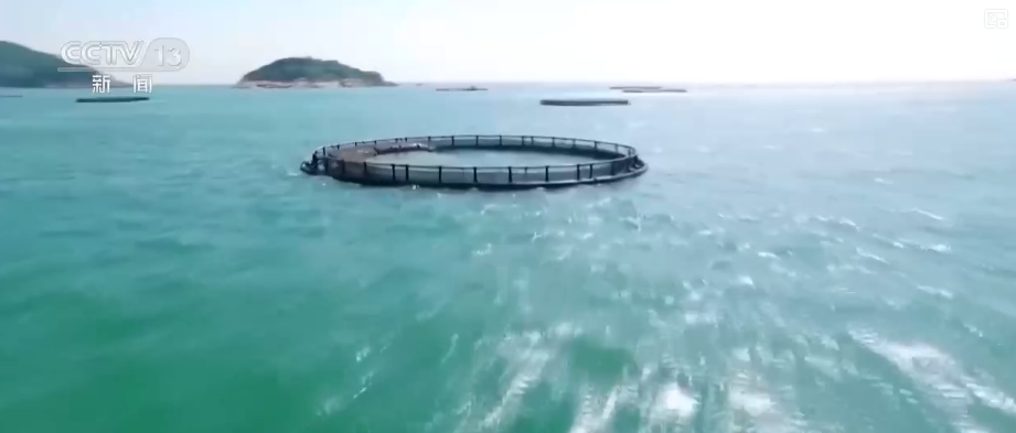 海洋场景开放从“点”到“面”多点开花 海洋产业成为彰显我国国际竞争力重要领域(图4)