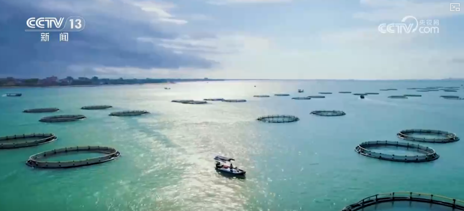 海洋场景开放从“点”到“面”多点开花 海洋产业成为彰显我国国际竞争力重要领域(图7)