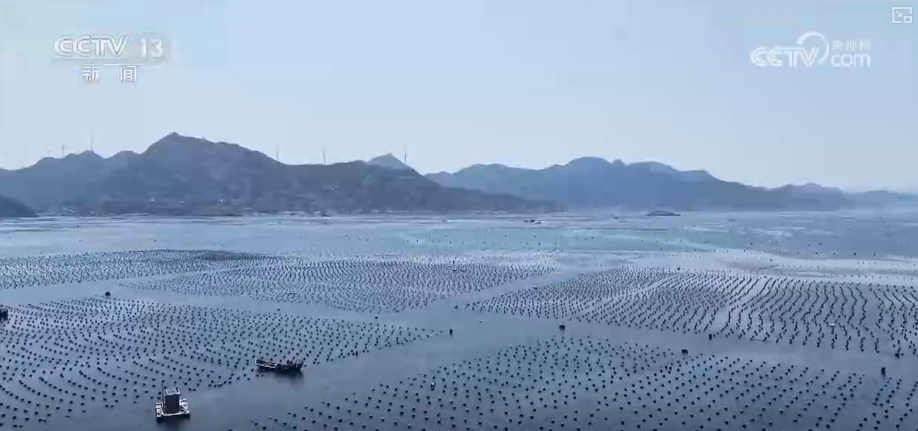 海洋场景开放从“点”到“面”多点开花 海洋产业成为彰显我国国际竞争力重要领域(图11)