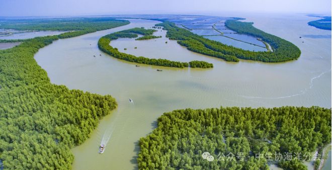 向海图强：中国海洋经济高质量发展的战略实践与未来蓝图(图2)