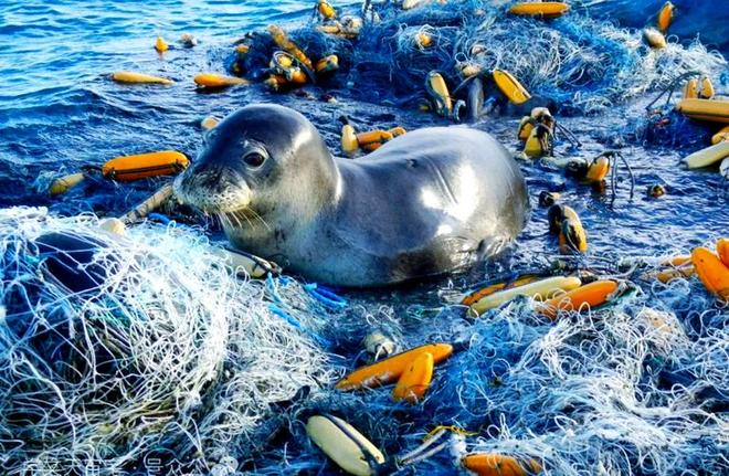 英国海滩出现“诡异生物”尸体外形奇特表面泛光无人知是何物(图3)