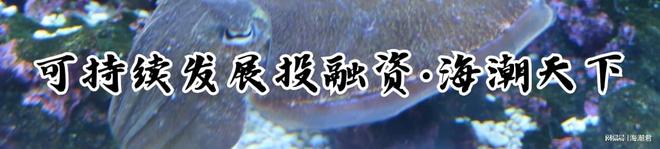 西印度洋沿海与海洋复原项目（WIOCOR）是什么？海潮天下·小百科(图4)