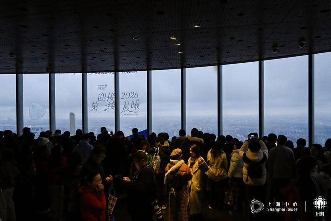 上海本土繁育的非洲企鹅宝宝今天有了自己的名字｜2026年第一天(图8)
