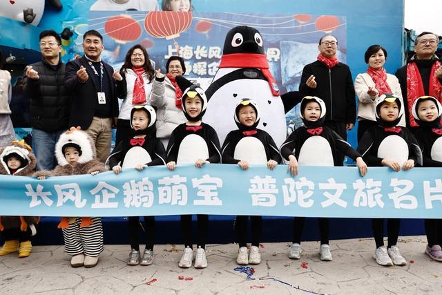 元旦喜提大名“茂茂”！长风海洋世界繁育首只企鹅宝宝等你来约(图4)