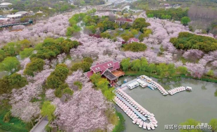 招商中旅观境(售楼处)官方电话上海招商中旅观境售楼中心前台电线楼盘百科楼盘官方网站测评中心电话来电预约看房(图27)