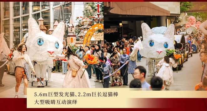 地铁直达！深圳本周周末免费活动推荐！赏落羽杉、看关公猫(图2)