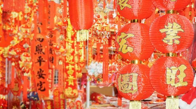 地铁直达！深圳本周周末免费活动推荐！赏落羽杉、看关公猫(图3)