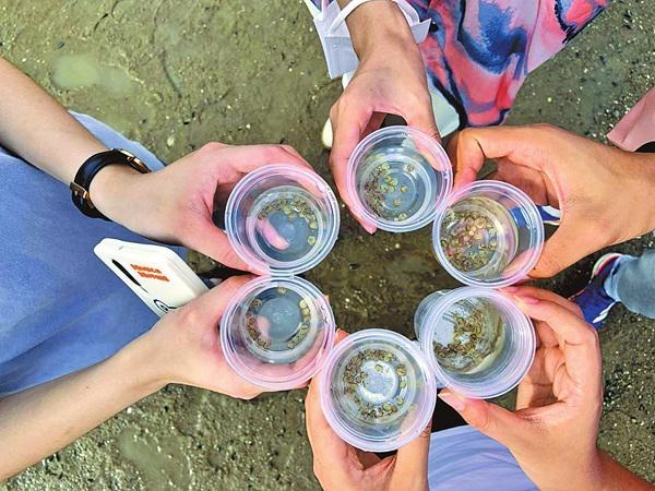 司法守护“中国鲎”的厦门实践(图2)