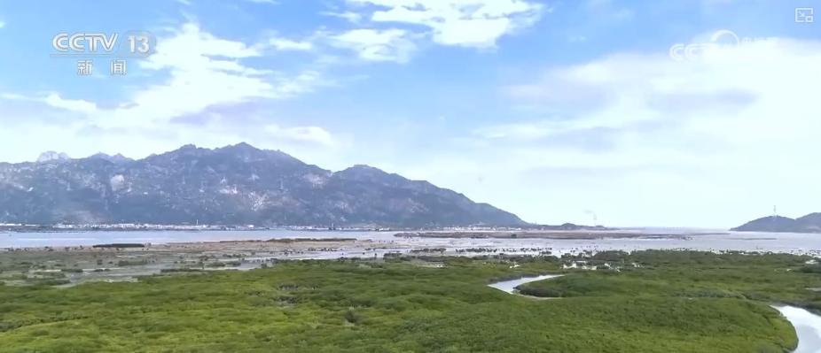 制度完善→设施升级→系统修复结硕果！多维度绘就海洋生态保护美丽画卷(图4)