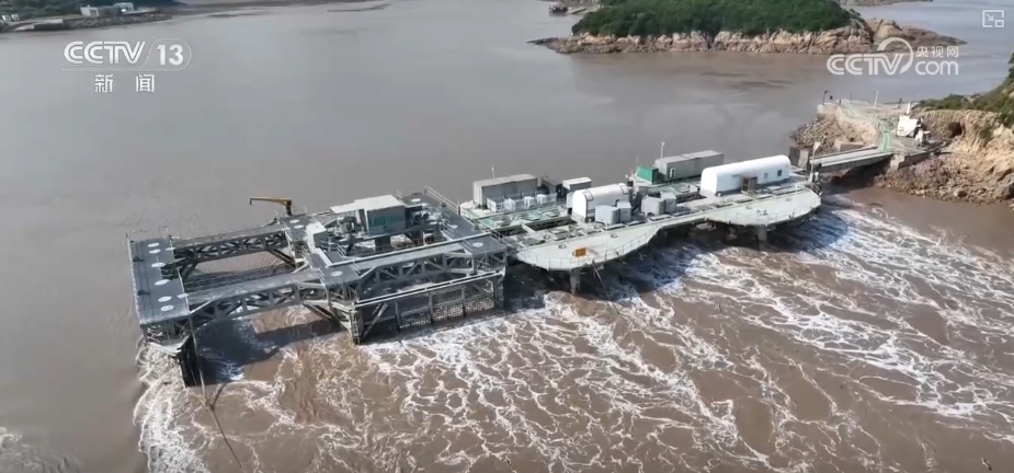 制度完善→设施升级→系统修复结硕果！多维度绘就海洋生态保护美丽画卷(图20)