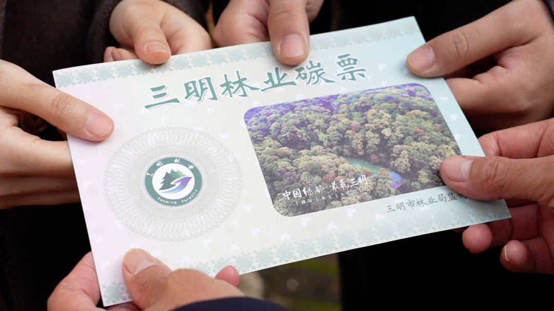福建这五年记住这些温暖瞬间高光时刻(图9)