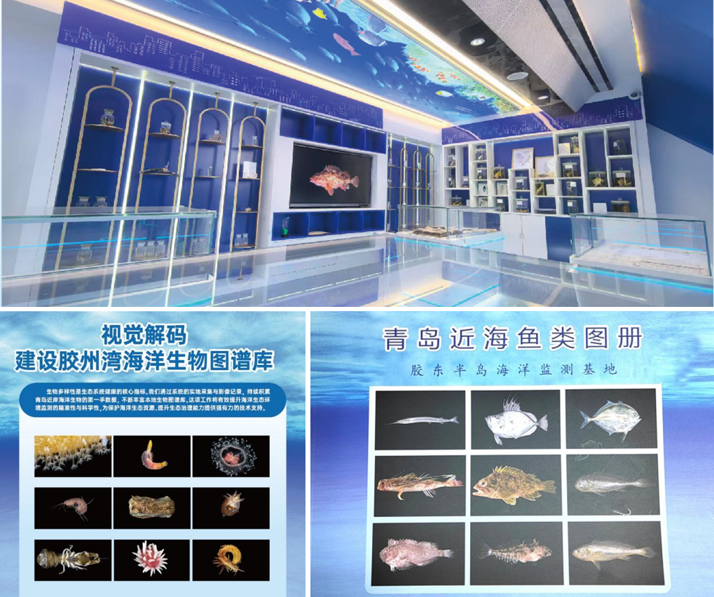 地方动态丨胶东半岛海洋监测基地：打造海洋生物多样性监测样板助力生态文明建设(图3)