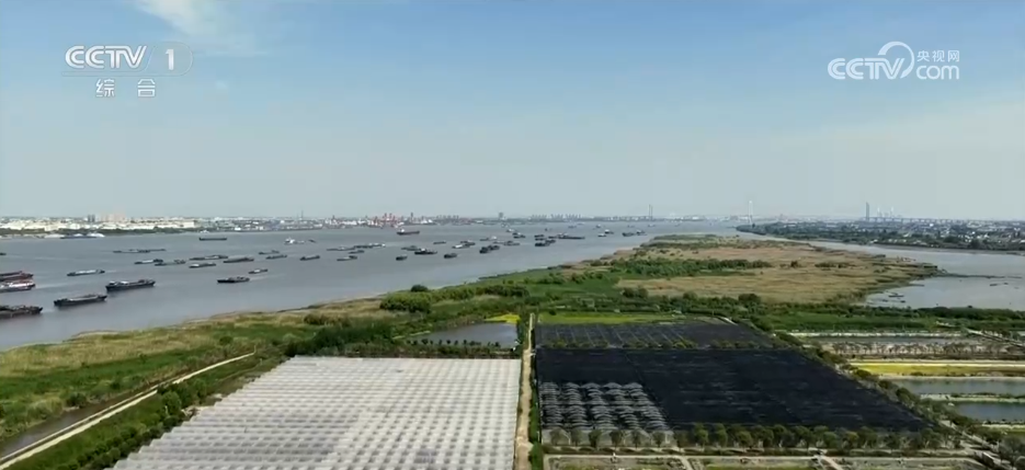 江清岸绿重焕生机万里长江十年蝶变交出亮丽生态答卷(图2)
