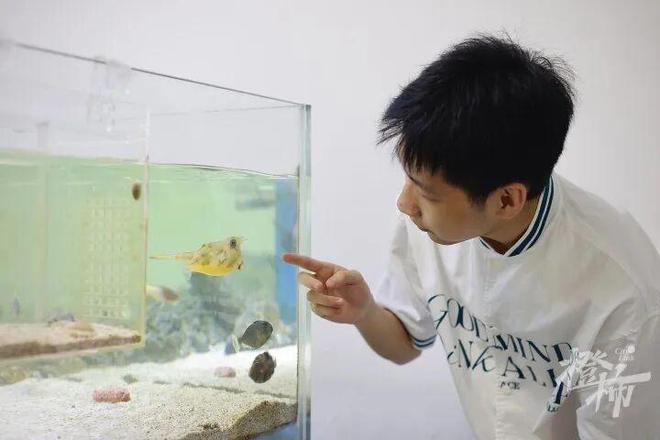 围着一缸鱼“搞事业”00后萧山小伙三年涨粉156万！(图5)