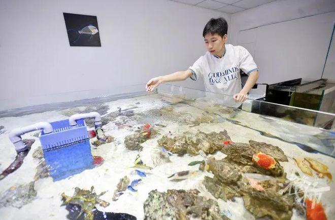 围着一缸鱼“搞事业”00后萧山小伙三年涨粉156万！(图6)
