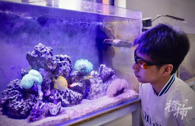 围着一缸鱼“搞事业”00后萧山小伙三年涨粉156万！(图12)