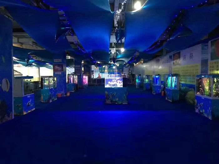 “獅子魚”號翩躚入深海（海洋經濟高質量發展一線見聞）(图1)