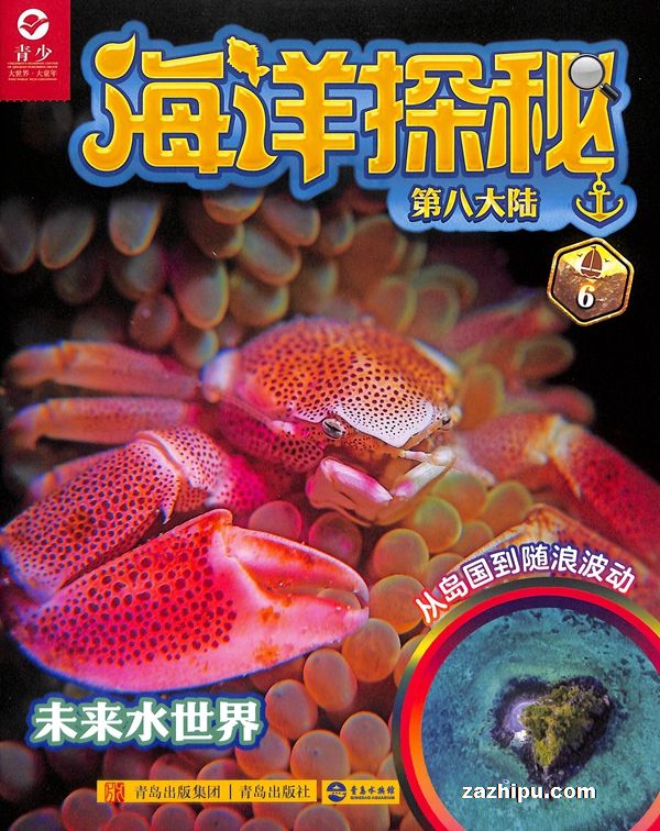 中国与太平洋岛国深化合作助力全球南方共同发展(图1)
