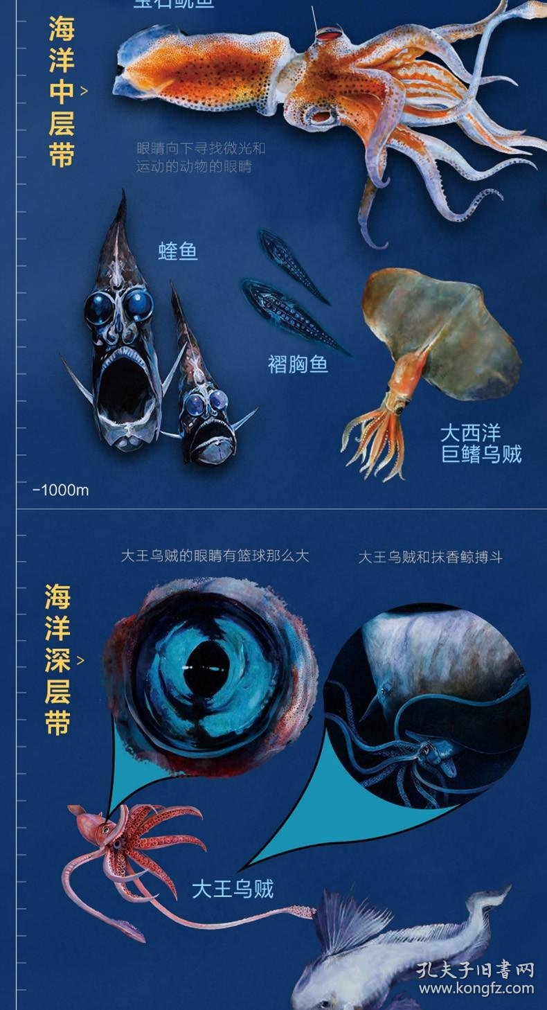 2026武汉妇女节活动大全（免费+优惠）(图1)