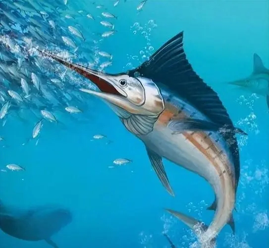 3200年的“南海之瞳”！黄岩岛科考发现蓝洞栖息着2700余种生物(图1)