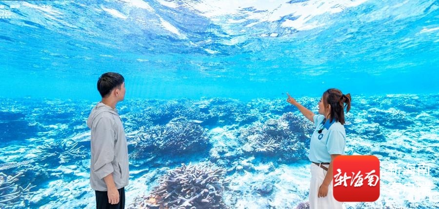 风过西沙在岛在家——世界海洋日侧记(图2)