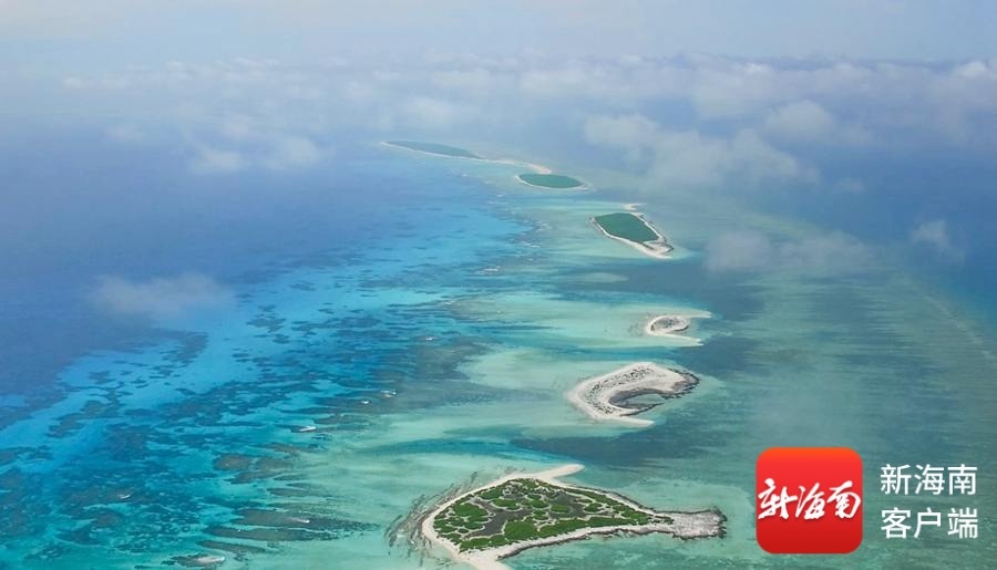 风过西沙在岛在家——世界海洋日侧记(图1)