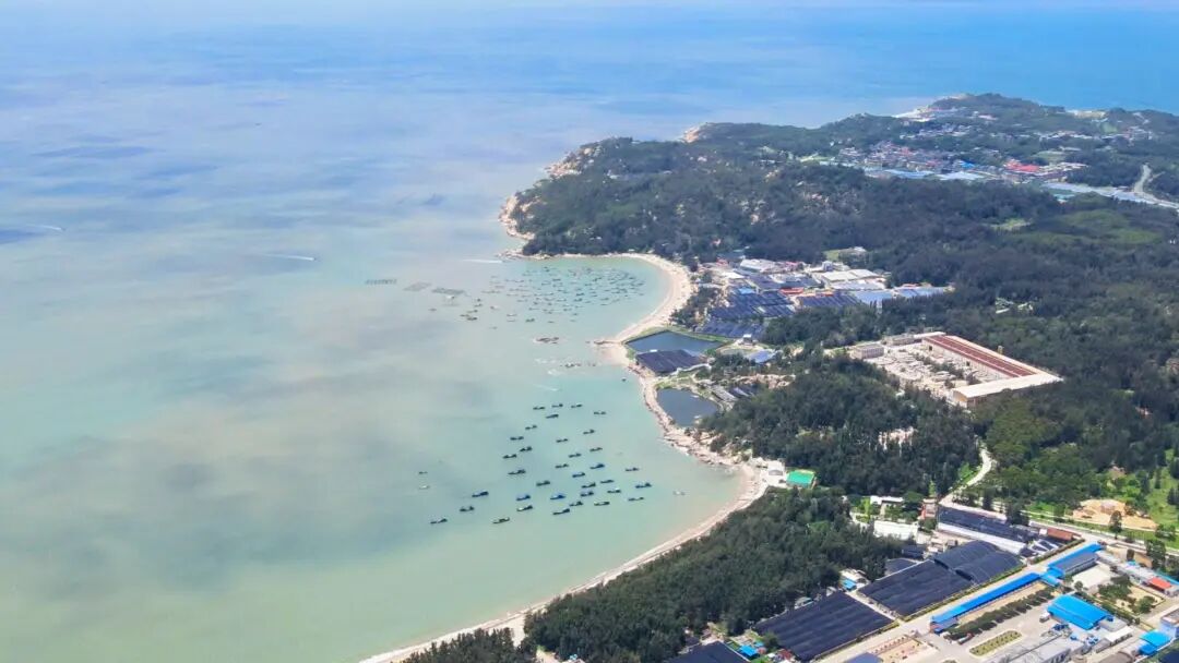 漳州诏安：水产方阵已起势两岸融合向深行(图4)