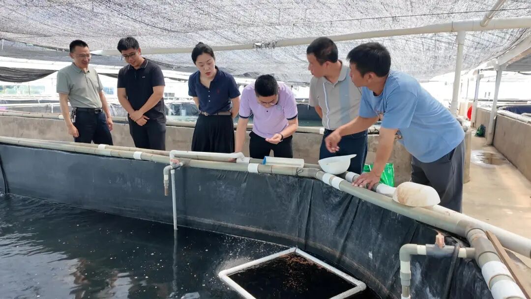 漳州诏安：水产方阵已起势两岸融合向深行(图5)