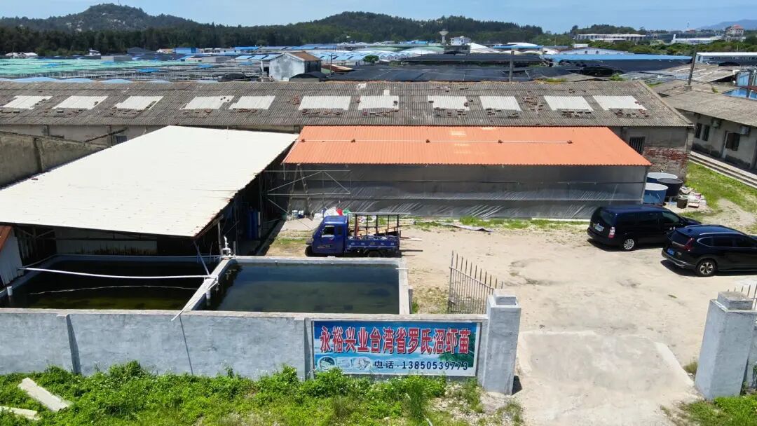 漳州诏安：水产方阵已起势两岸融合向深行(图6)