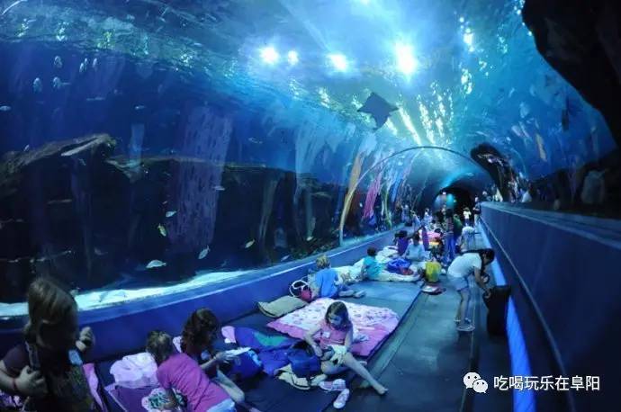 颍州西湖开发又出大喜事！建游乐城、影视基地最新信息都在这里！(图6)