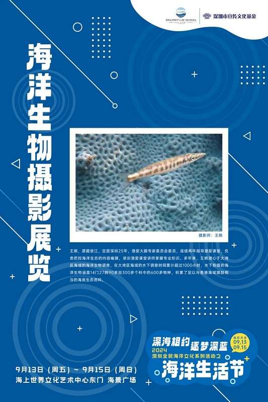 【中国网评】中国海洋经济的蓝色动能有多强？(图1)