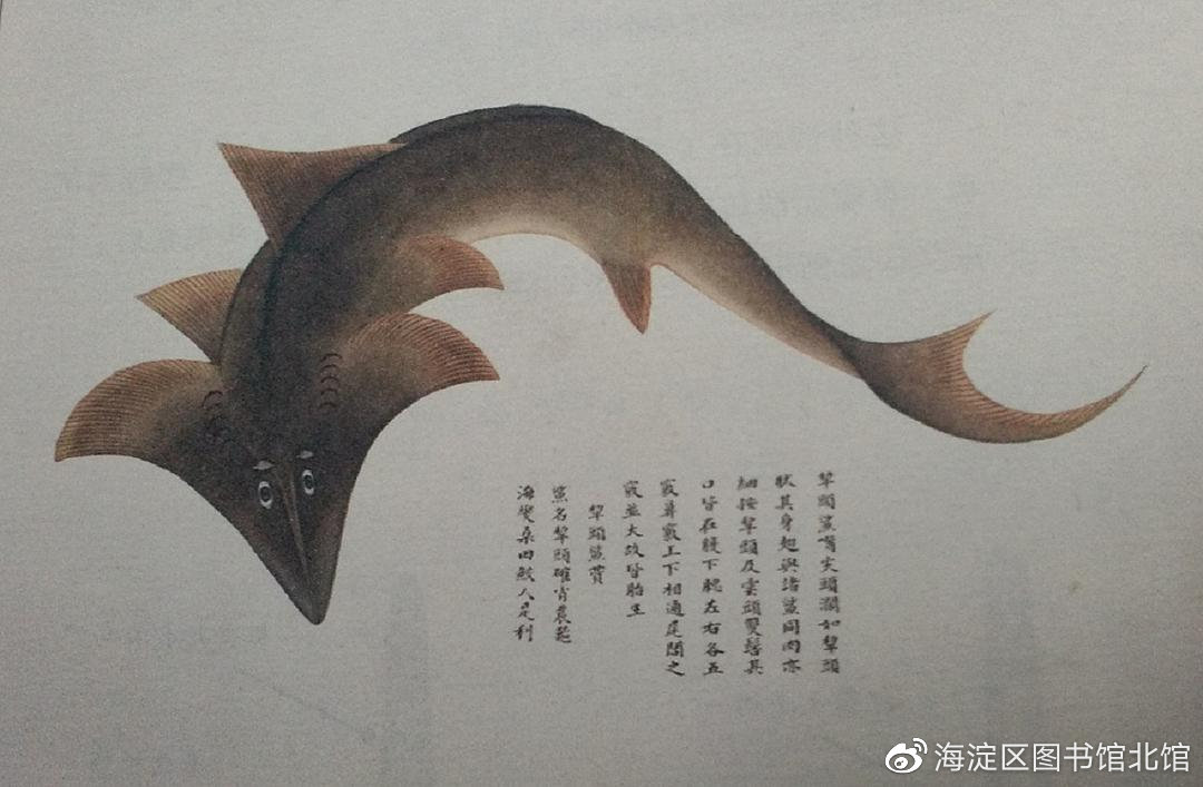深海迷航同类型的游戏(图1)