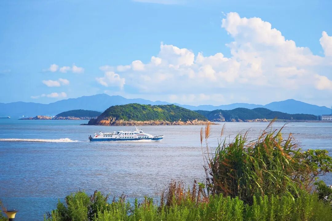 海鸟翩跹渔船往复渔业向好(图1)