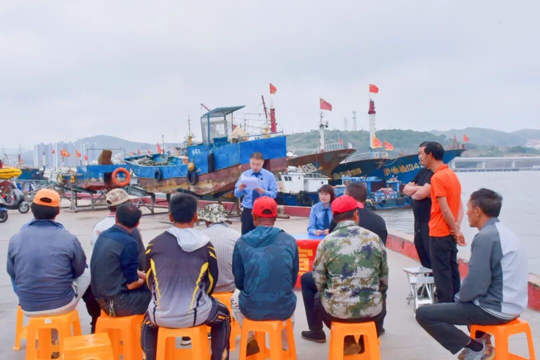 海鸟翩跹渔船往复渔业向好(图3)